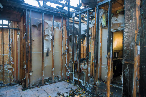 Professional Smoke Damage Removal technician working in Willard, MO